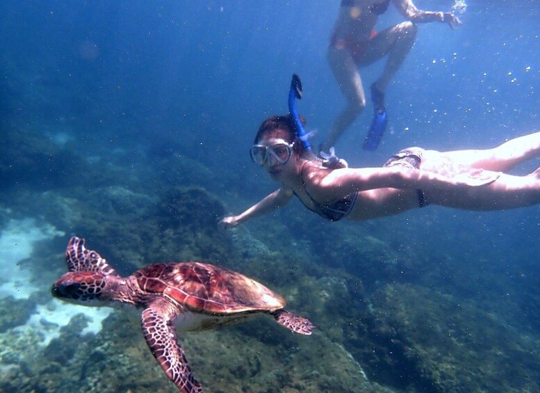 Picture 9 for Activity From Al-Seeb: Dimaniyat Islands Boat Trip with Snorkeling