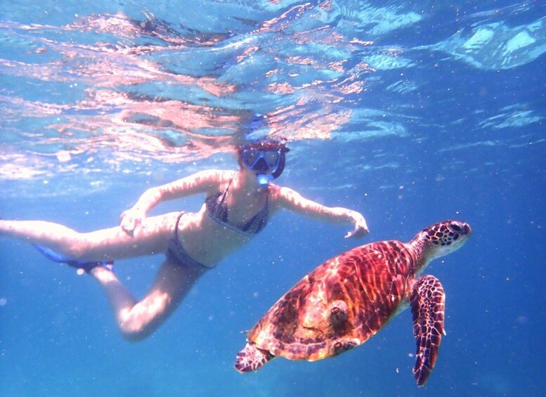 Picture 7 for Activity From Al-Seeb: Dimaniyat Islands Boat Trip with Snorkeling