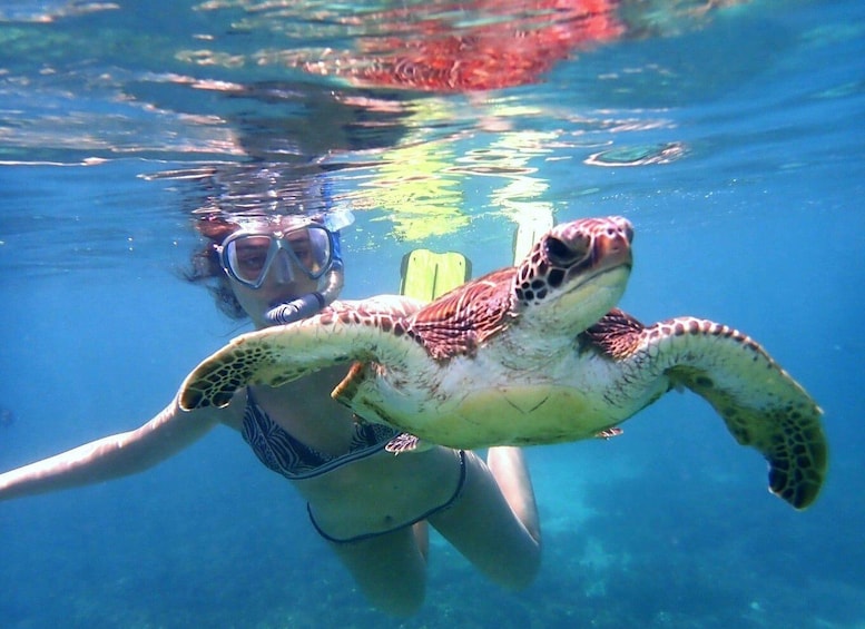 Picture 8 for Activity From Al-Seeb: Dimaniyat Islands Boat Trip with Snorkeling