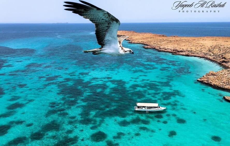 From Al-Seeb: Dimaniyat Islands Boat Trip with Snorkeling