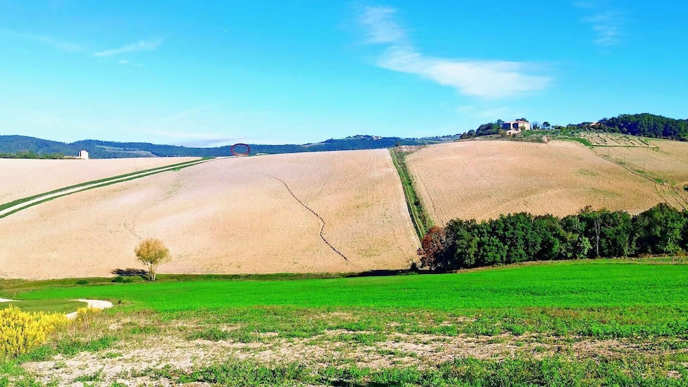 Picture 4 for Activity Private Excursion: Volterra & San Gimignano+wine tastings