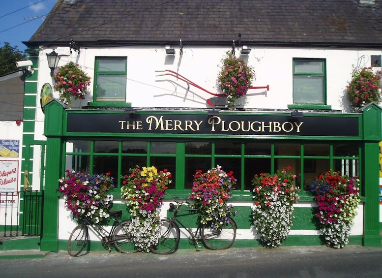 Irish Night at the Merry Ploughboy Pub Dublin