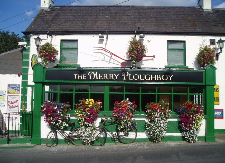 Dublin: Irish Night Show at the Merry Ploughboy Pub