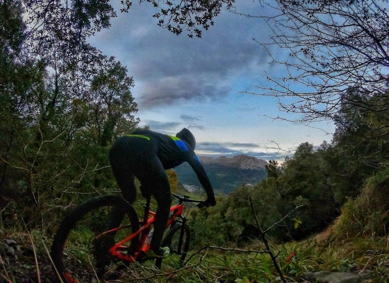 San Sebastián: Basque Country Mountain Bike Exploration