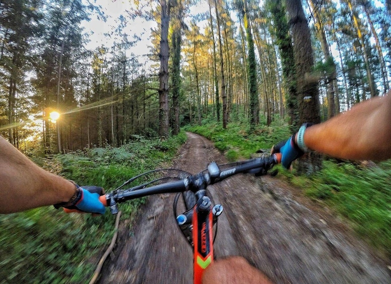 Picture 1 for Activity San Sebastián: Basque Country Mountain Bike Exploration