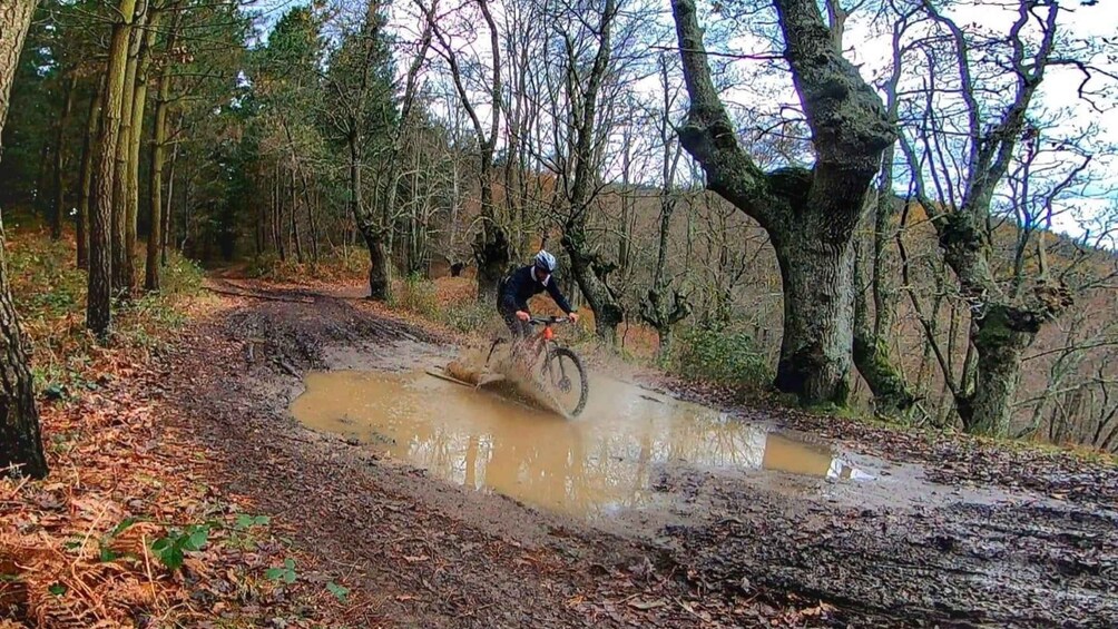 Picture 2 for Activity San Sebastián: Basque Country Mountain Bike Exploration