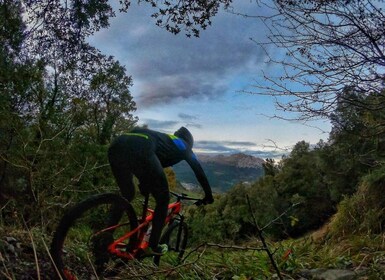 San Sebastián: Udforskning af Baskerlandet på mountainbike