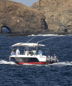 Half day inshore fishing experience