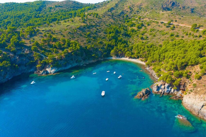 Picture 13 for Activity Roses: Private Cruise in the Natural Park of Cap de Creus