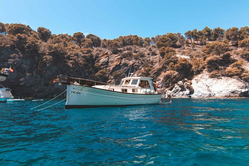 Picture 8 for Activity Roses: Private Cruise in the Natural Park of Cap de Creus