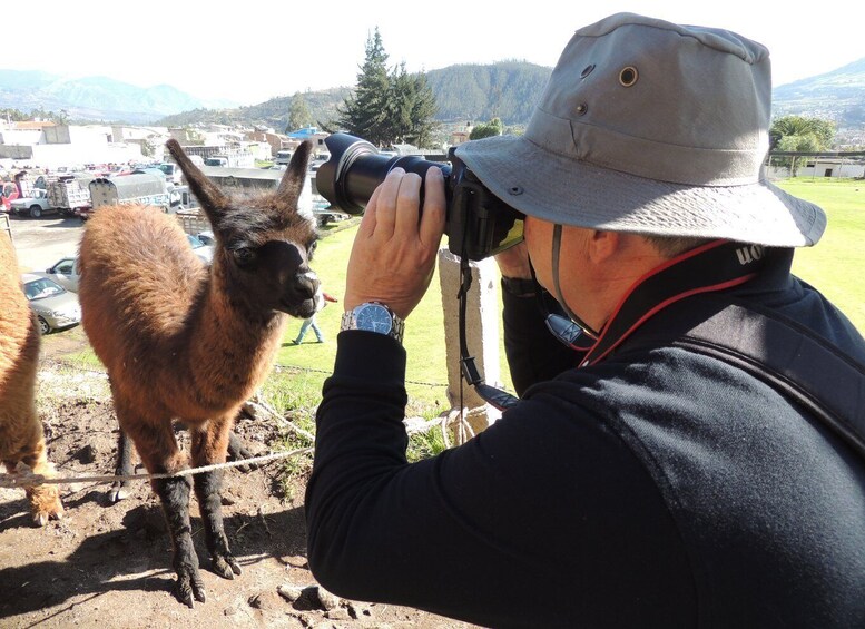 Picture 13 for Activity Quito: Otavalo Sightseeing and Handcrafts Market Day Tour