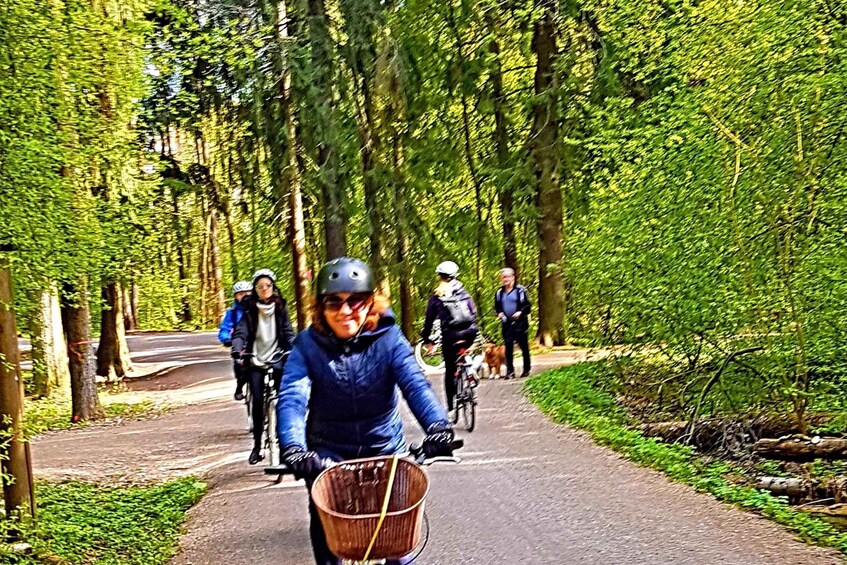Picture 3 for Activity Helsinki: Bike or E-Bike Tour, BBQ, Sauna, Parks, and Forest