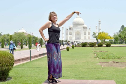 Desde Delhi: tour privado de un día al Taj Mahal y Agra