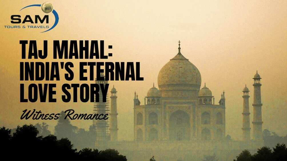 Picture 8 for Activity From Cochin: Taj Mahal Tour From The Cruise Port