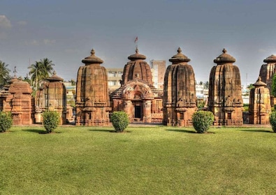 Best of Bhubaneswar (Guided Halfday Sightseeing Tour by Car)