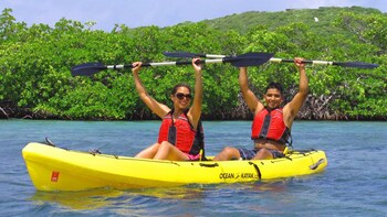 Self-Guided Kayak Tour of Mangrove Lagoon