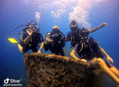 Bayahibe: PADI Open Water Course by Go Dive Bayahibe