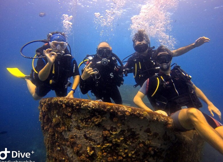 Bayahibe - PADI Open Water Course - Go Dive