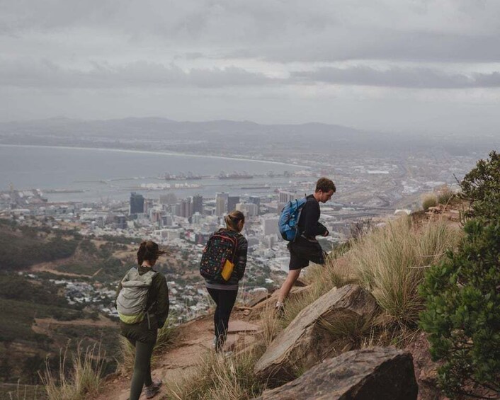 Picture 2 for Activity Cape Town: Lion's Head Hiking Experience