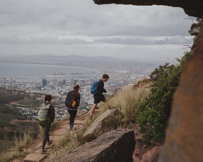 Picture 2 for Activity Cape Town: Lion's Head Hiking Experience