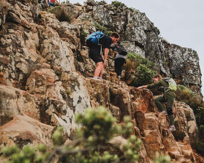 Picture 3 for Activity Cape Town: Lion's Head Hiking Experience