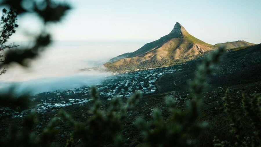 Cape Town: Lion's Head Hiking Experience