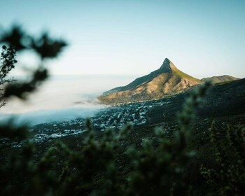 Cape Town: Lion's Head Hiking Experience