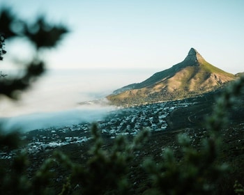 Cape Town: Lion's Head Hiking Experience