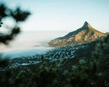 Cape Town Pengalaman Mendaki Kepala Singa