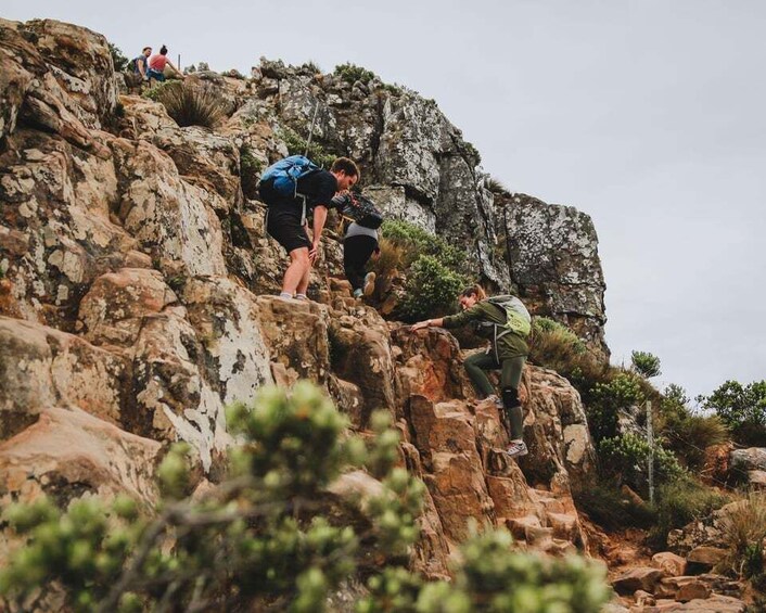 Picture 3 for Activity Cape Town: Lion's Head Hiking Experience