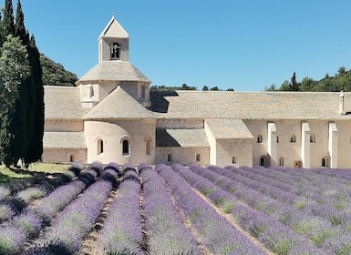 Från Marseille: Anpassningsbar privat dagstur i Provence