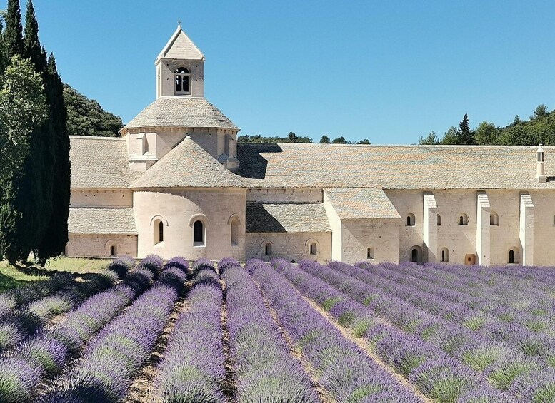 From Marseille: Customizable Private Day Tour of Provence
