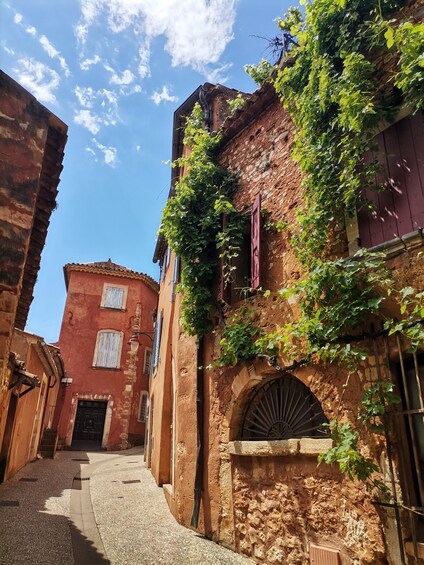 Picture 9 for Activity From Marseille: Customizable Private Day Tour of Provence