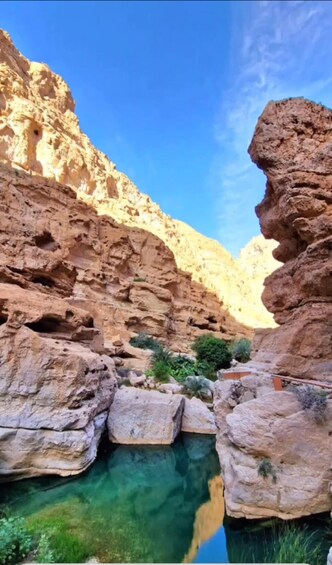 Picture 17 for Activity Wadi Shab tour