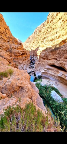 Picture 9 for Activity Wadi Shab tour