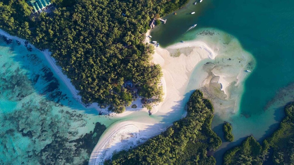 Picture 3 for Activity Full Day Private Catamaran Adventure in Ile Aux Cerfs