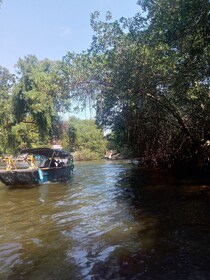 Pantanal van Rio de Janeiro