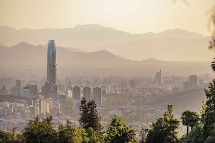 Visita guiada a la ciutat de Santiago i experiència vinícola