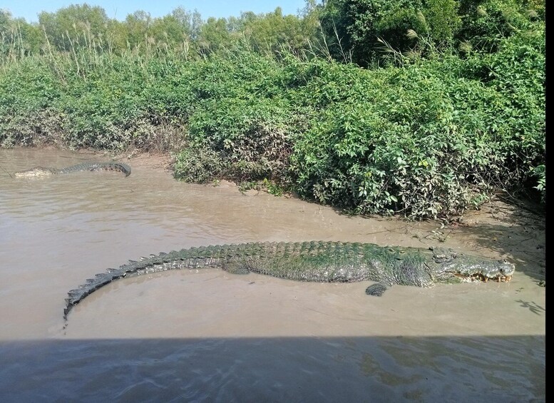 Picture 2 for Activity Kakadu-2 Day Tour. The best Itinerary.