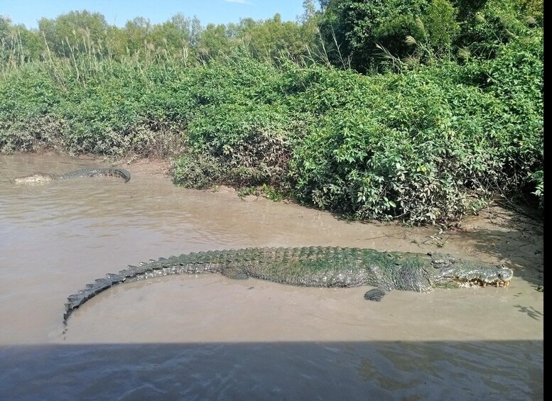 Picture 2 for Activity Kakadu-2 Day Tour. The best Itinerary.