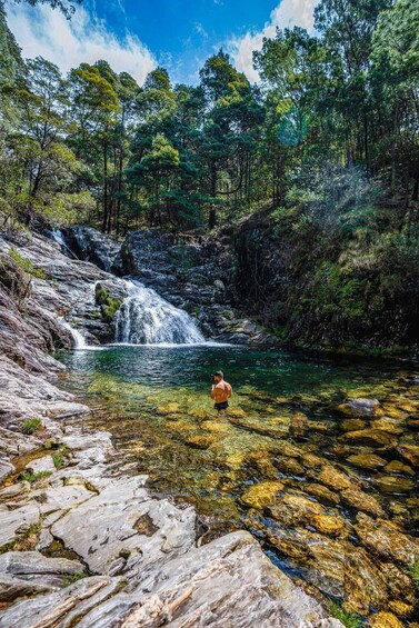 Picture 10 for Activity Hike, Dive & Dine Like A Local in a Secret Spot