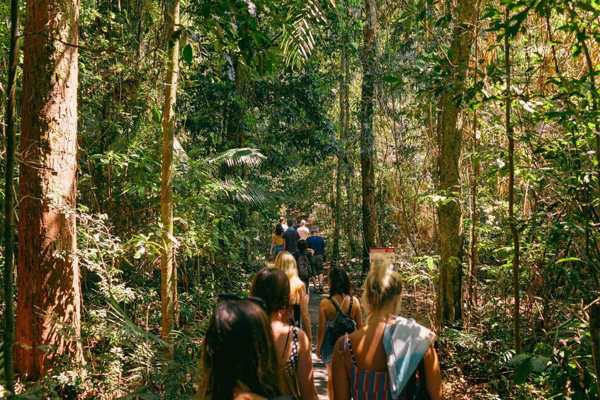 Picture 1 for Activity From Cairns: Splash & Slide Waterfall Tour with Picnic Lunch