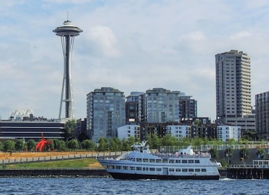 Seattle: recorrido en grupo pequeño con Space Needle, barco y metro