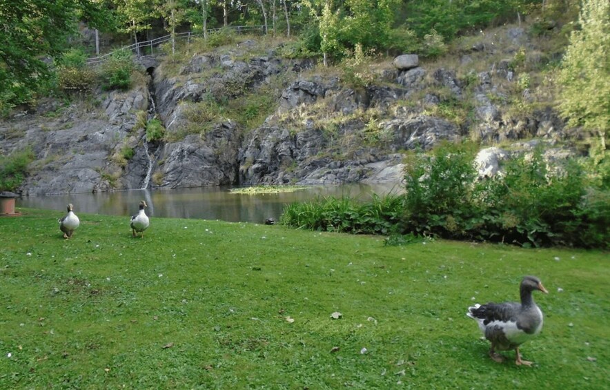 Picture 2 for Activity Gothenburg: Slottsskogen Park & Botanical Garden Tour