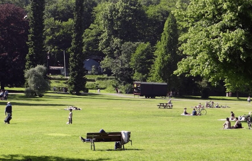 Picture 4 for Activity Gothenburg: Slottsskogen Park & Botanical Garden Tour