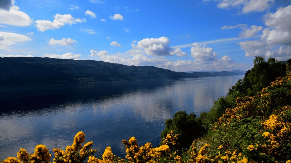 Picture 4 for Activity From Glasgow: Loch Ness and Urquhart Castle Private Day Tour