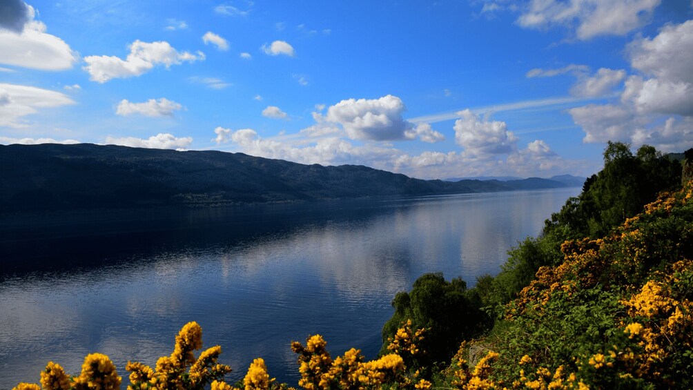 Picture 4 for Activity From Glasgow: Loch Ness and Urquhart Castle Private Day Tour