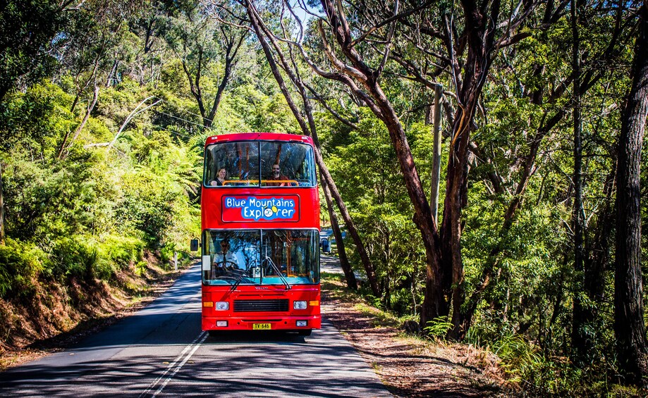 Sydney Nature Tours: Nature Reserves in Sydney |