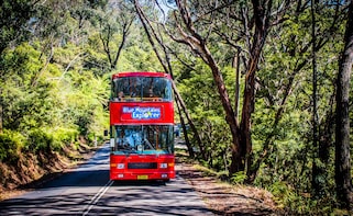 Blue Mountains Hop-on Hop-Off Explorer Pass