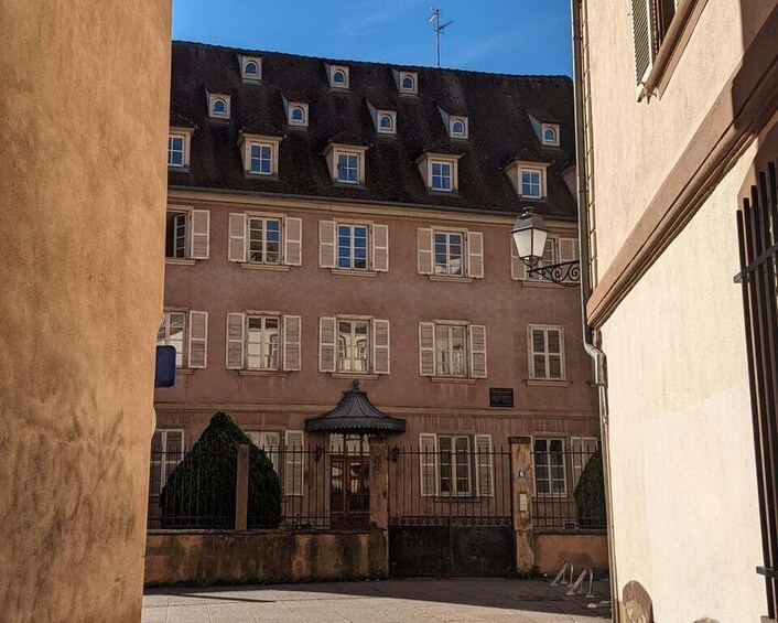 Picture 4 for Activity Strasbourg: Walking Tour with Local Guide